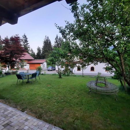 Ferienwohnung Erhart Scheffau 凯撒山麓舍福 外观 照片