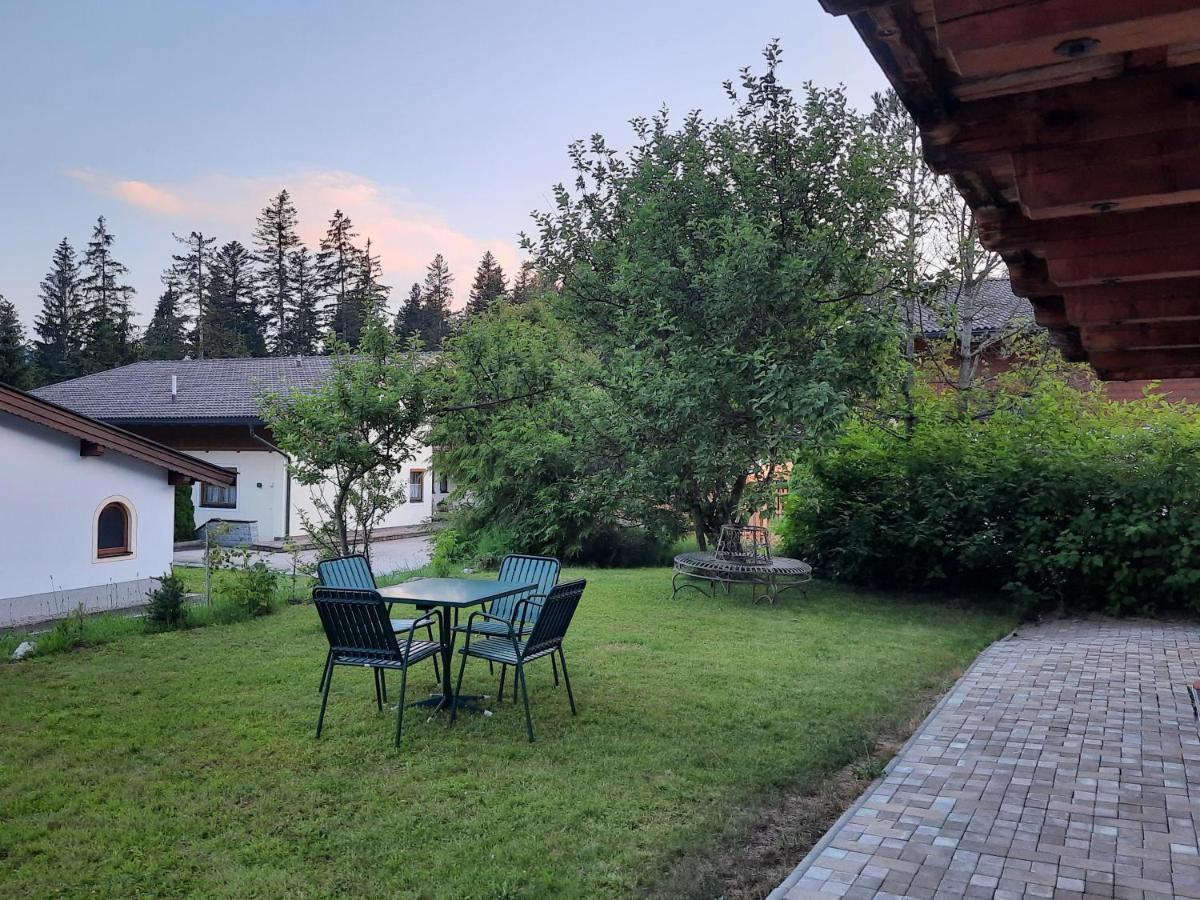 Ferienwohnung Erhart Scheffau 凯撒山麓舍福 外观 照片
