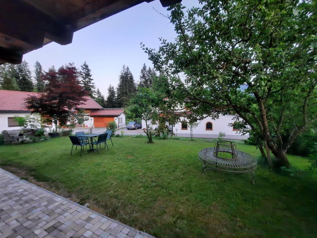 Ferienwohnung Erhart Scheffau 凯撒山麓舍福 外观 照片