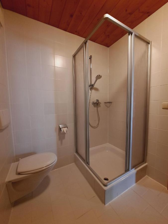 Ferienwohnung Erhart Scheffau 凯撒山麓舍福 外观 照片